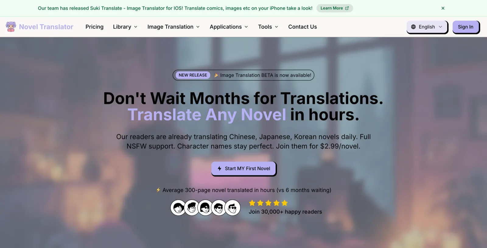 Novel Translator homepage